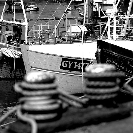 Lobster fishing fleet