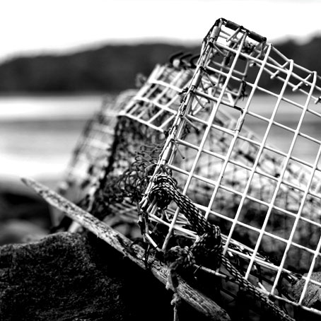 lobster pot