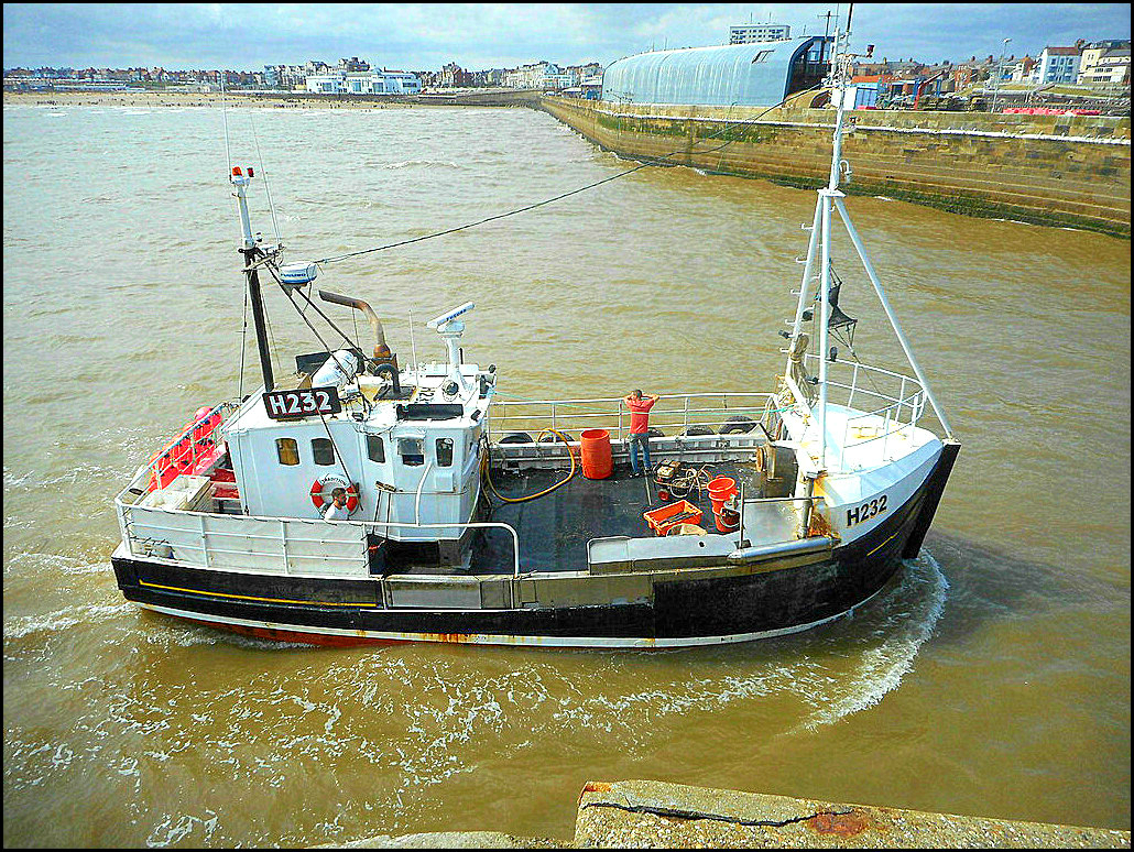Tradition, Bridlington fleet